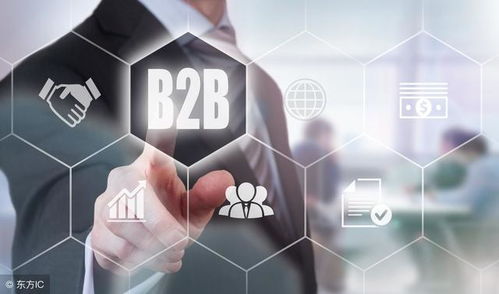 B2B電子商務實施細節(jié) 企業(yè)成功的關鍵