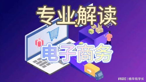 電子商務專業(yè) 數字時代的商業(yè)先鋒